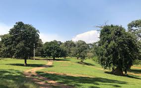 Lake Mburo National Park
