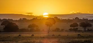 Masaimara