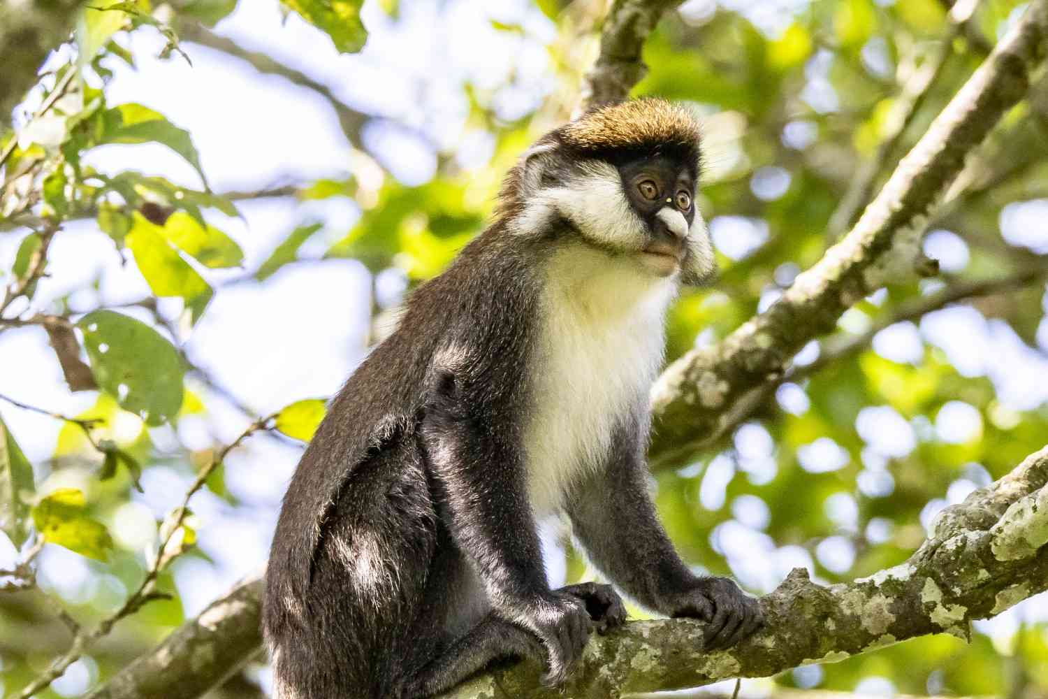 Uganda202109200904150516 1
